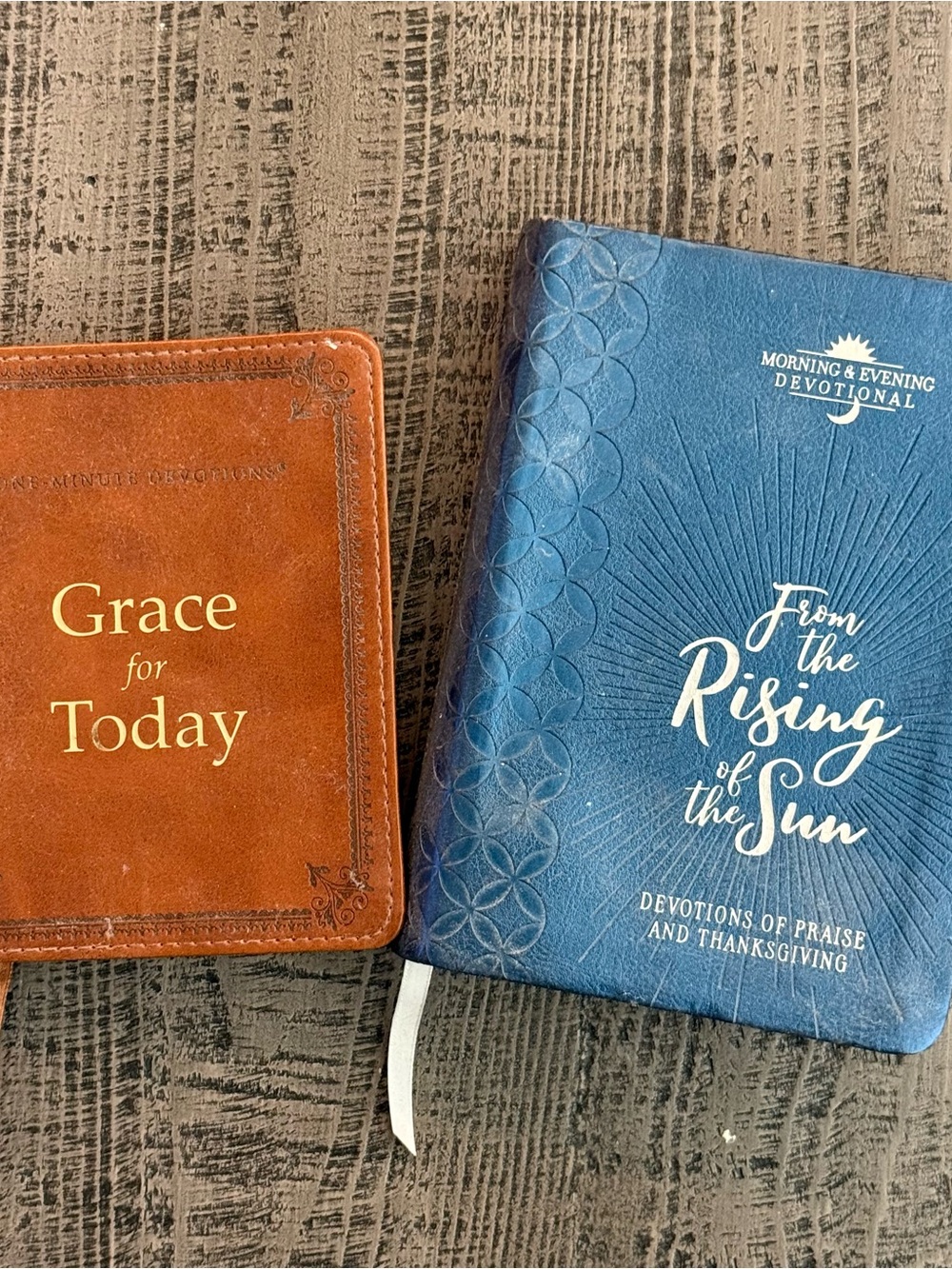 Grace for Today & From the Rising of the Sun Devotionals - Brown & Blue Covers